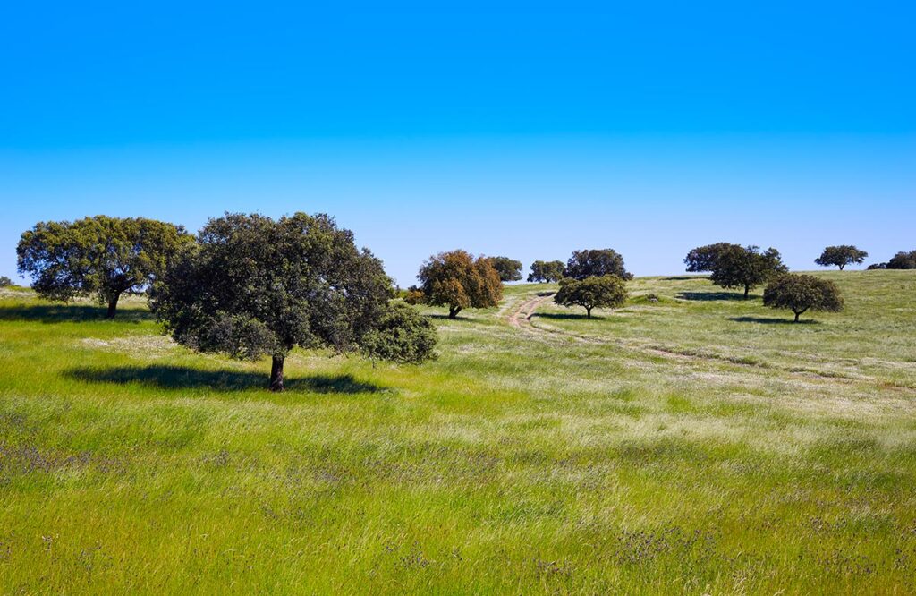 %alojamiento turistico norte de extremadura%